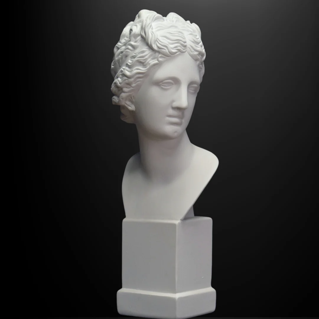 Neoclassical Bust, Venus de Medici - Image 2