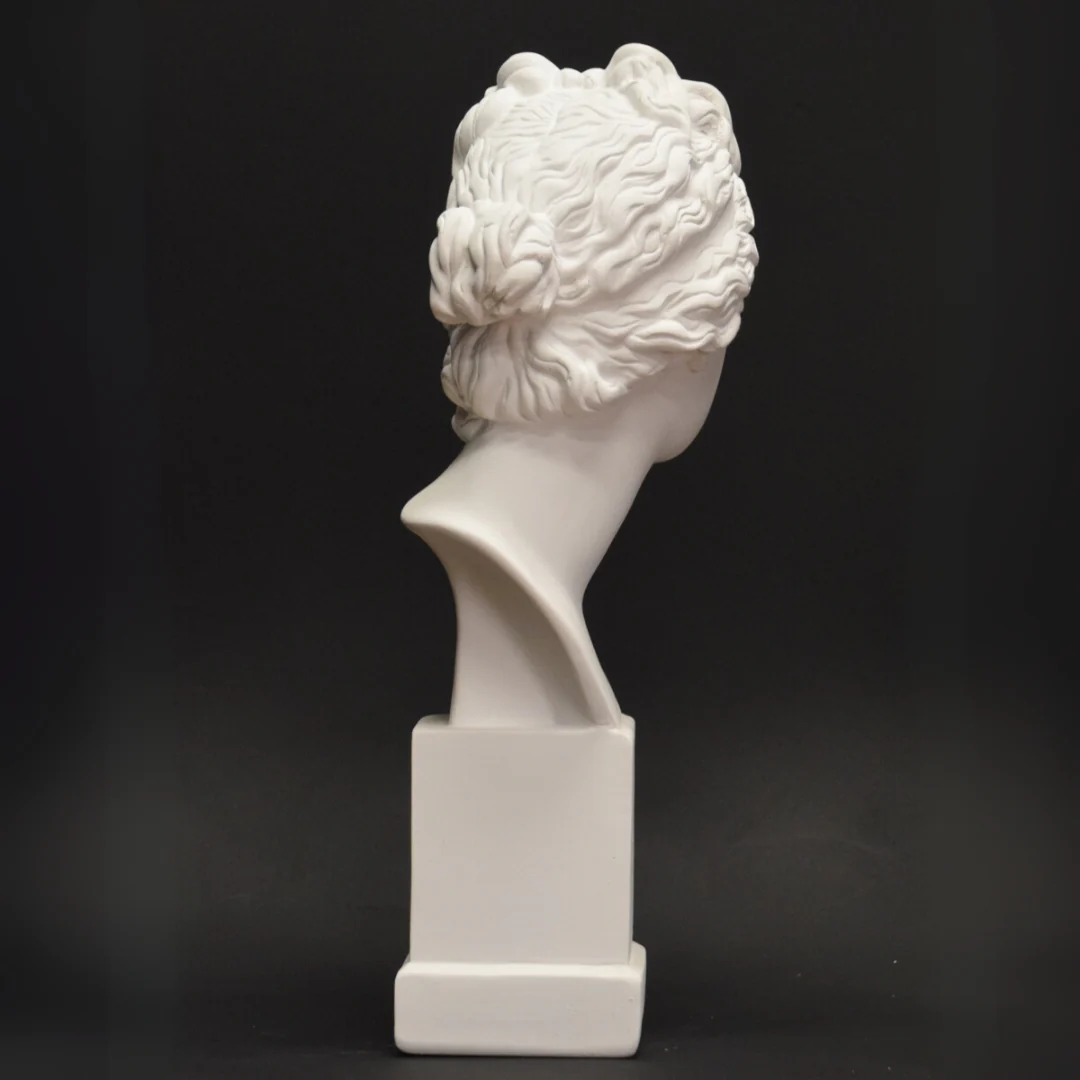 Neoclassical Bust, Venus de Medici - Image 4